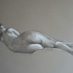 Modèle vivant 18 : pierre noire et crayon blanc